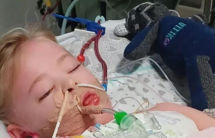 Britain: The father of a 4-year-old girl who was infected with streptococcus A is shocked… “Her body has been destroyed” (pics)