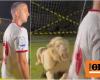 Kostas Manolas: His terror at the roar of a lion in the photo shoot with Sarza