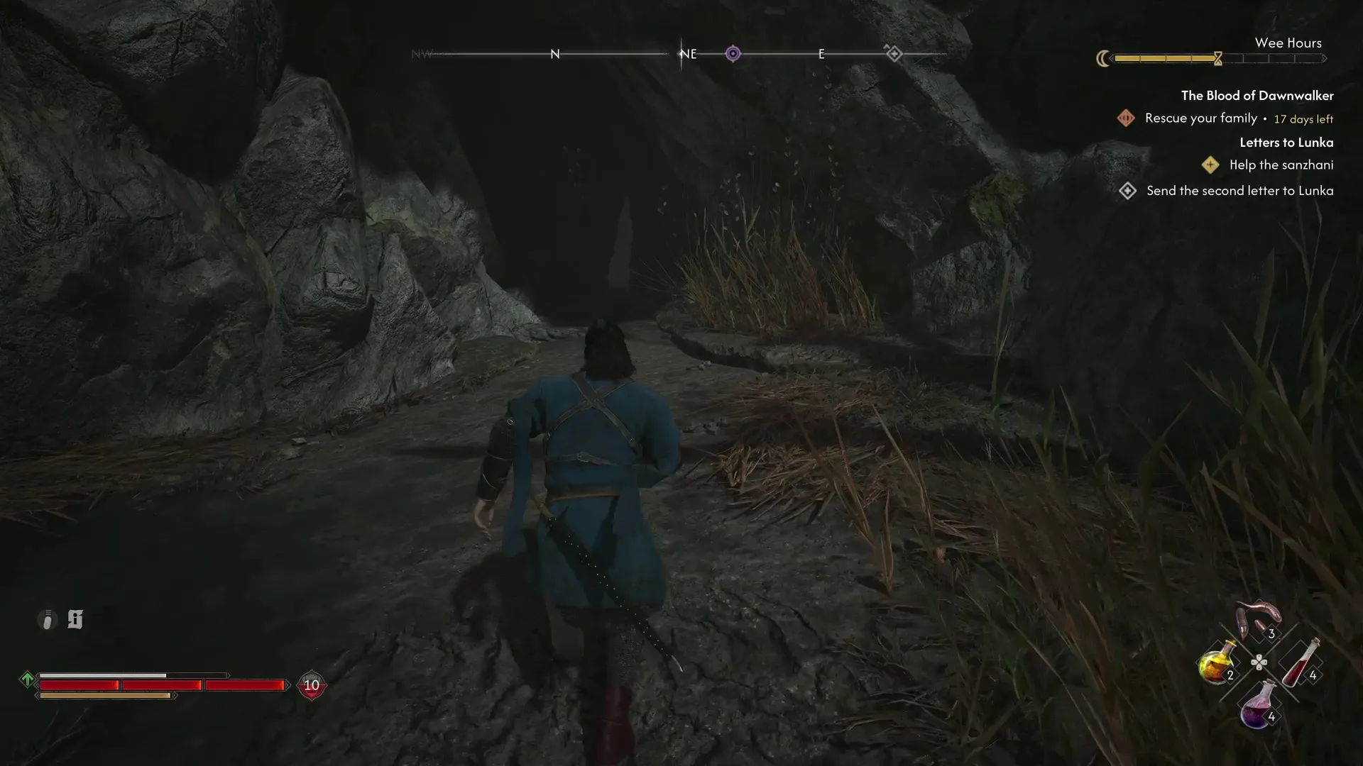 Cave to the Moult of a Large Lizard in The Blood of Dawnwalker