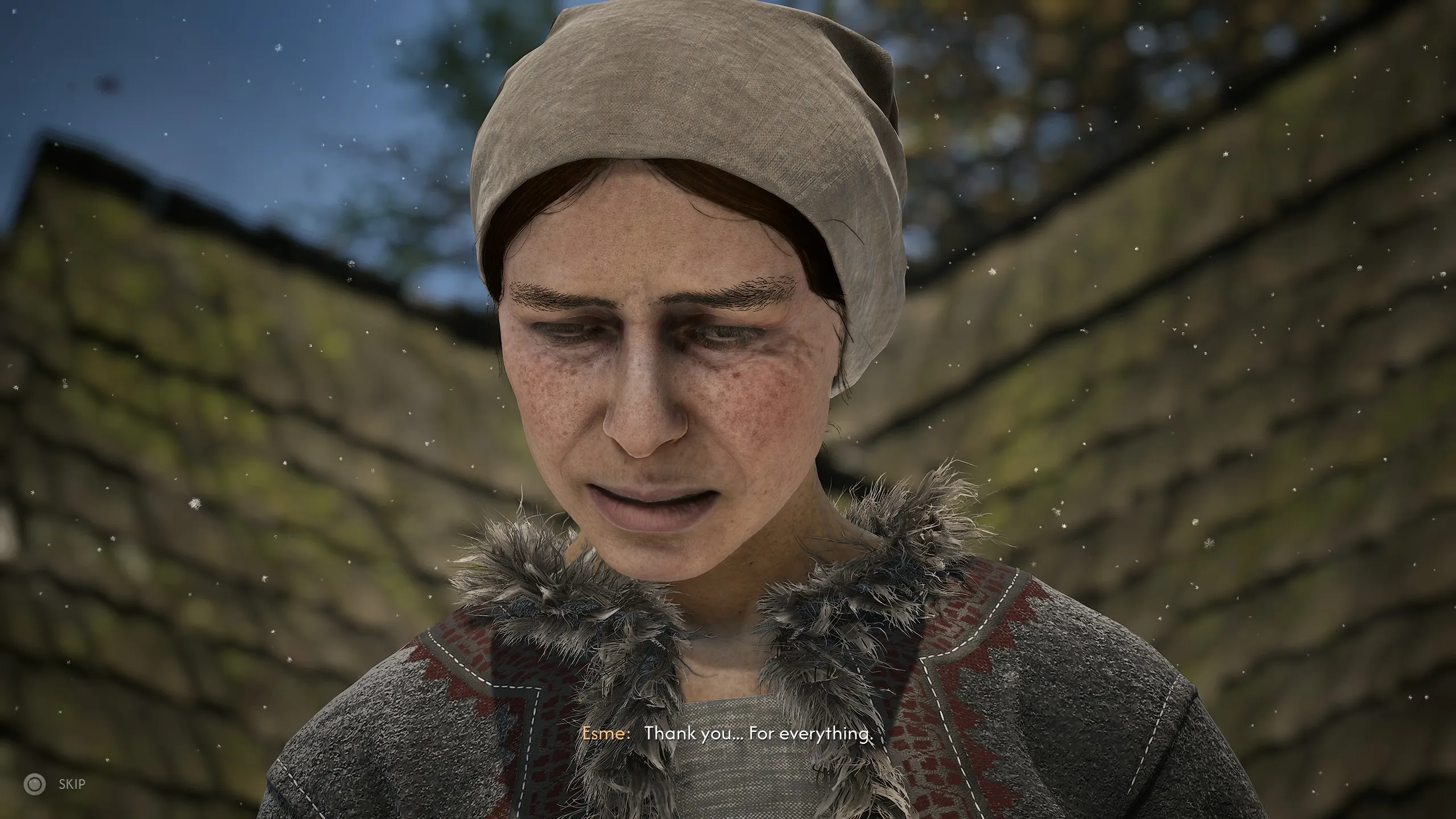 Coen's mother in The Blood of Dawnwalker saying "Thank you. For everything."