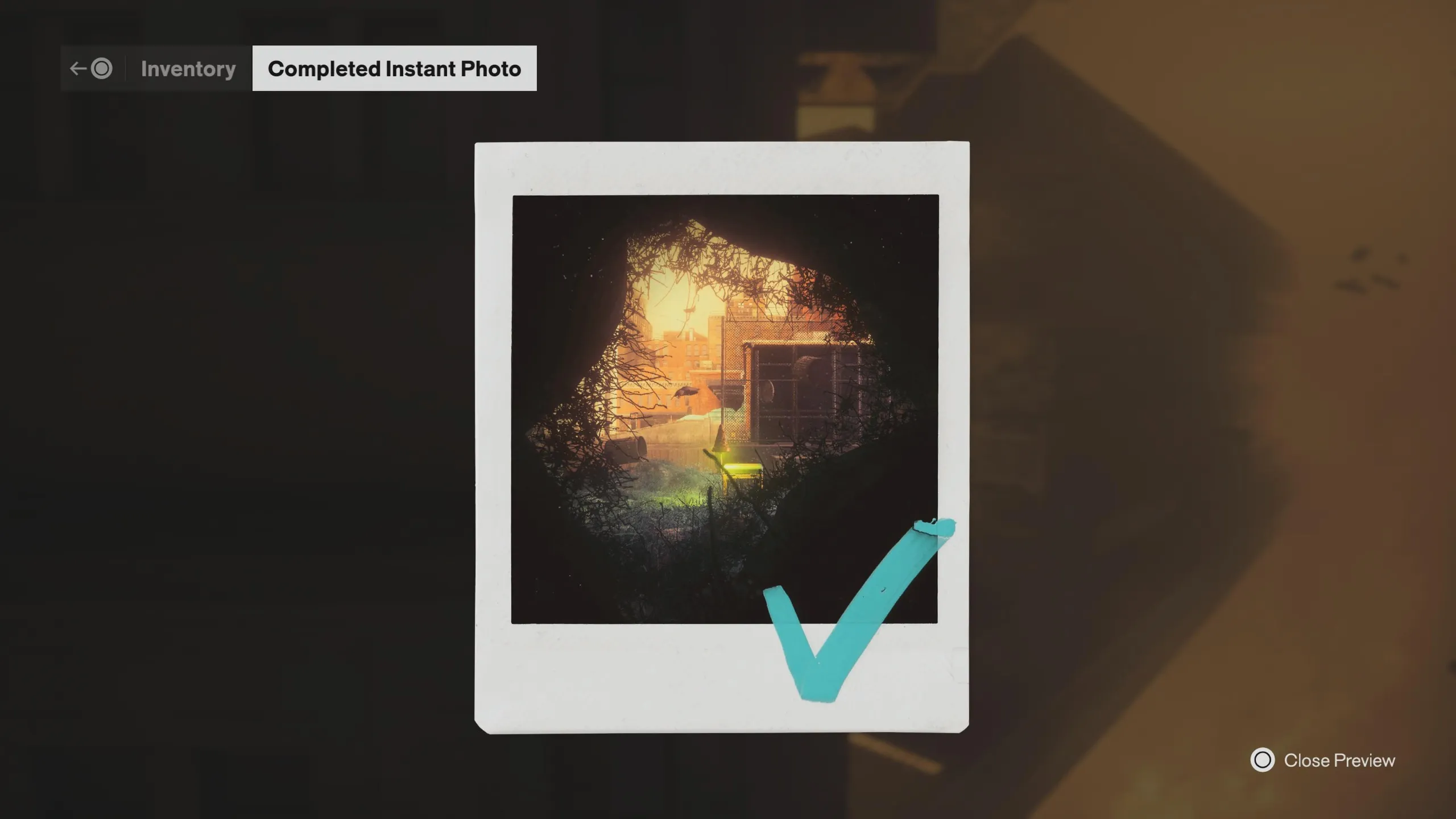 A completed instant photo in Control Resonant