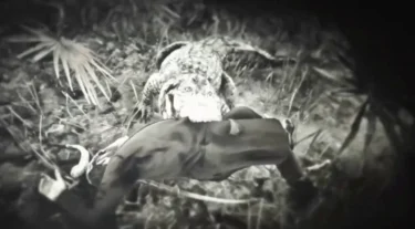 Νικητές του Αυγούστου στο Replay: Αστεία στιγμιότυπα από Call of Duty και Red Dead