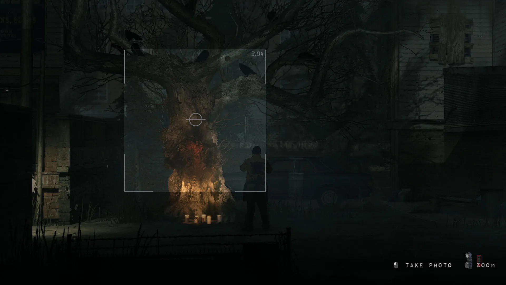 Walker takes a photo of a tree with markings on it with candles below in Silver Pines