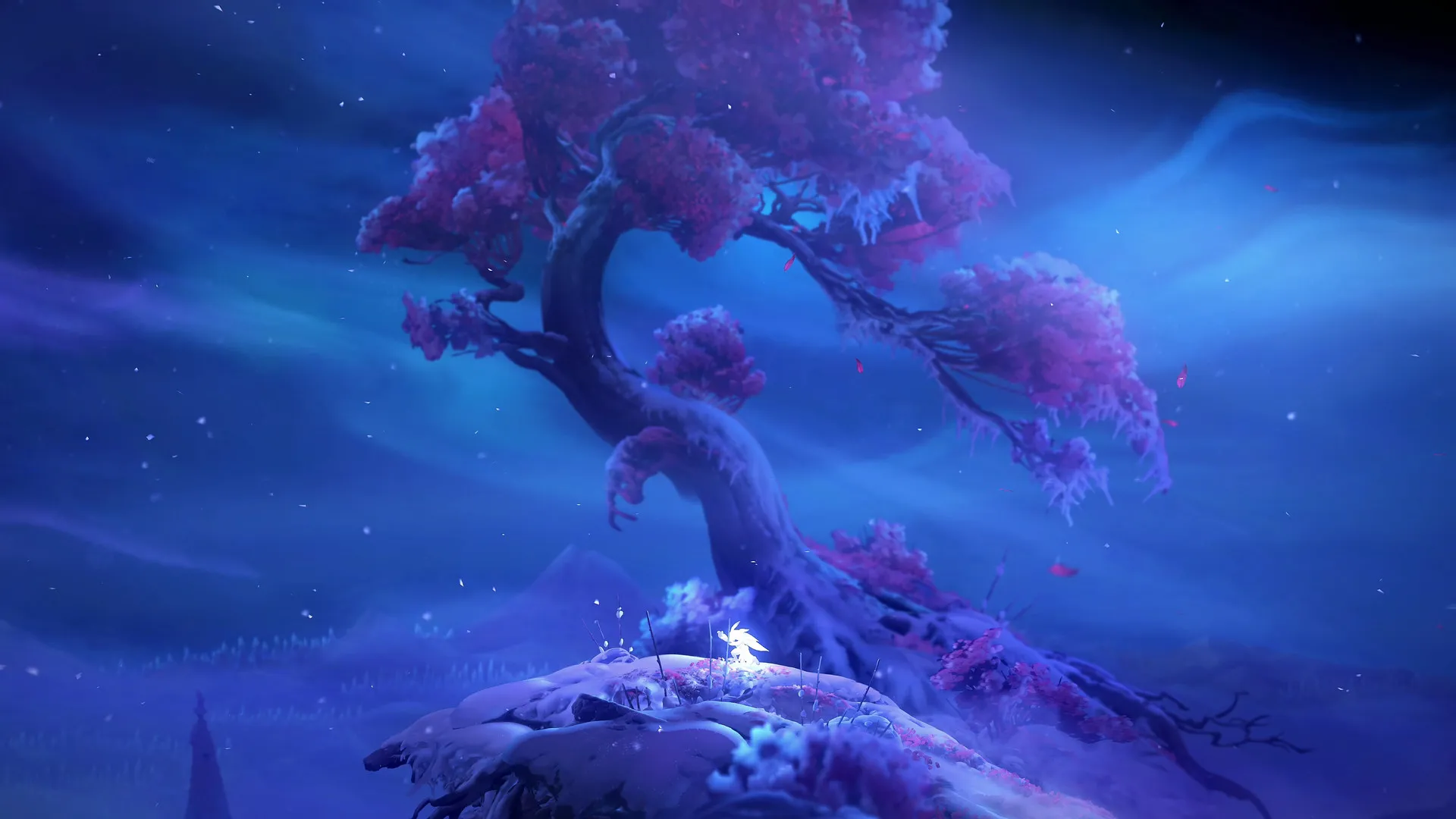 Ori looking at a tree during the game, Ori and the Will of the Wisps
