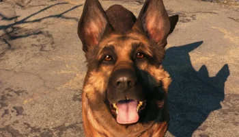 Ο πρώην επικεφαλής του Skyrim μιλά για το Fallout 5 εκτός ΗΠΑ